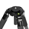 Treppiede Heavy Duty Carbon Tripod Panhead - 40kg max. di capacità