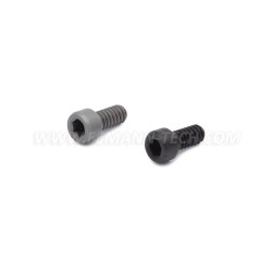Vite di ricambio per Magwell 1911 silver due pezzi