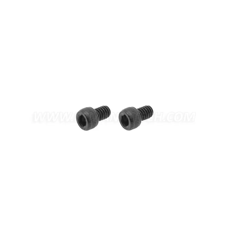 Vite a brugola per porta otturatore AR-15 2 pezzi