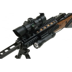 SKS – Astina con 4 rail picatinny