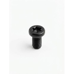 Viti 6.48 UNF TORX - Confezione 20 pz