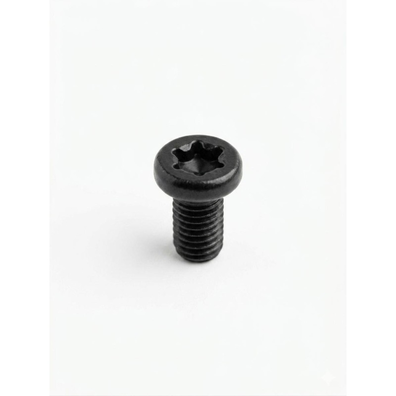 Viti 6.48 UNF TORX - Confezione 20 pz