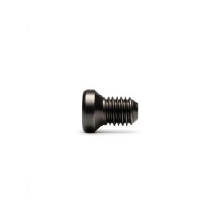 Viti 6.48 UNF TORX - Confezione 20 pz