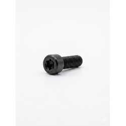 Vite torx 3,5x06 - Confezione 1 pezzo