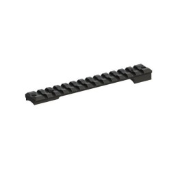 Recknagel - Base Weaver/Picatinny Mauser M12