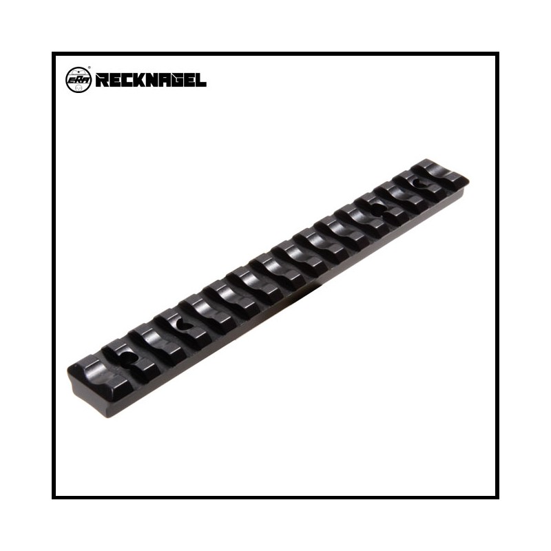 PICATINNY STEYR MANL.M(SM12,CLII,CLASSIC