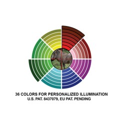 Mil-Dot 4-16x56 Illuminato - Diametro 30mm