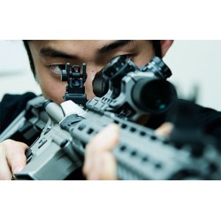 AR15 – Tacca di mira posteriore Flip Up inclinata a 45° - Picatinny